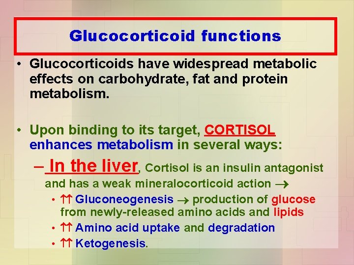 Glucocorticoid functions • Glucocorticoids have widespread metabolic effects on carbohydrate, fat and protein metabolism.