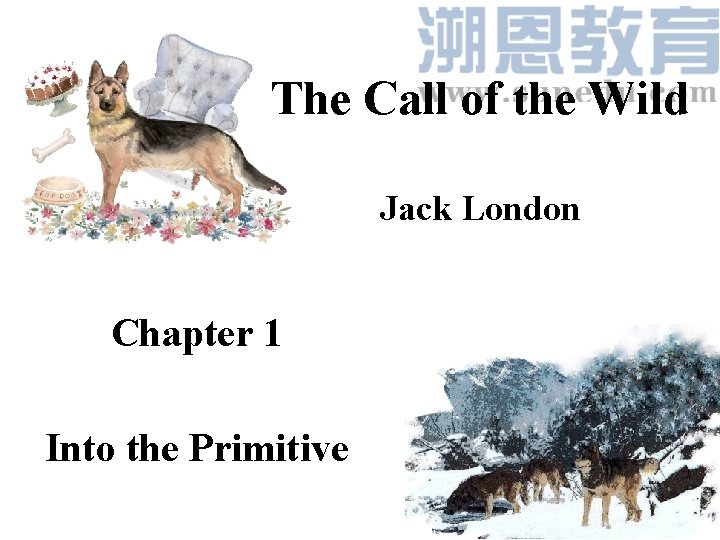 The Call of the Wild Jack London Chapter 1 Into the Primitive 