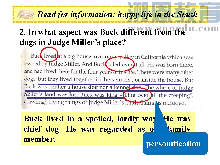 Read for information: happy life in the South 2. In what aspect was Buck