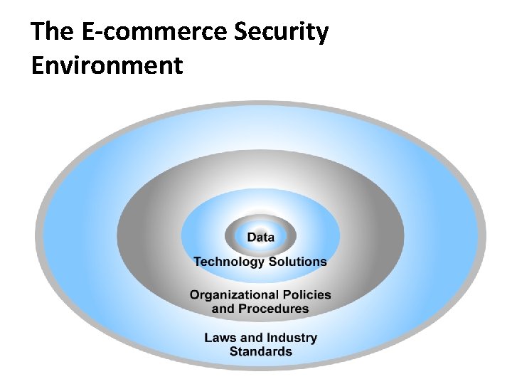 The E-commerce Security Environment 