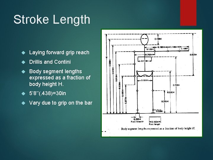 Stroke Length Laying forward grip reach Drillis and Contini Body segment lengths expressed as