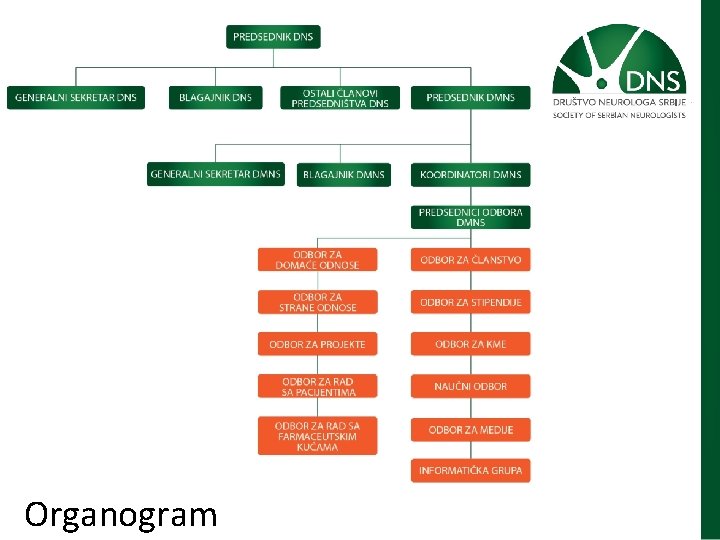 Organogram 
