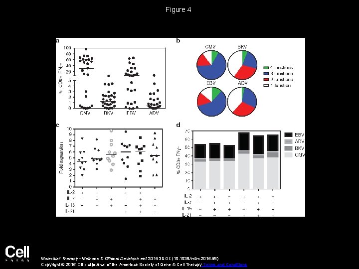 Figure 4 Molecular Therapy - Methods & Clinical Development 2016 3 DOI: (10. 1038/mtm.