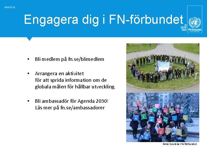 Engagera dig i FN-förbundet • Bli medlem på fn. se/blimedlem • Arrangera en aktivitet
