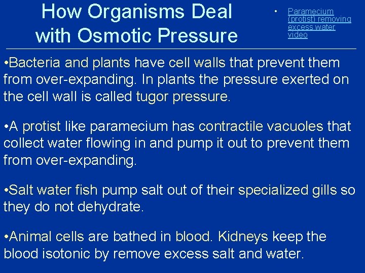 How Organisms Deal with Osmotic Pressure • Paramecium (protist) removing excess water video • How Organisms Deal with Osmotic Pressure • Paramecium (protist) removing excess water video •