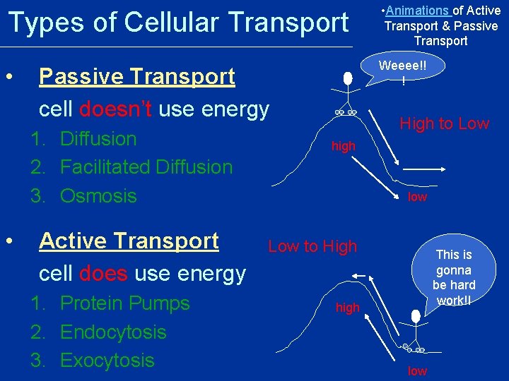 Types of Cellular Transport • Animations of Active Transport & Passive Transport • Weeee!! Types of Cellular Transport • Animations of Active Transport & Passive Transport • Weeee!!