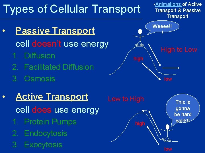Types of Cellular Transport • Animations of Active Transport & Passive Transport • Weeee!!