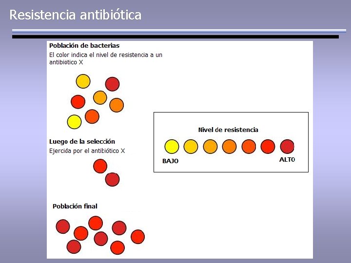 Resistencia antibiótica 