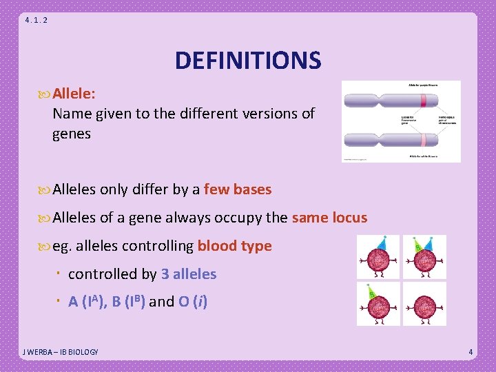 4. 1. 2 DEFINITIONS Allele: Name given to the different versions of genes Alleles