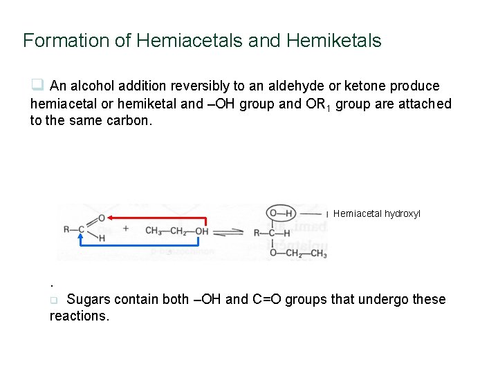 Formation of Hemiacetals and Hemiketals q An alcohol addition reversibly to an aldehyde or