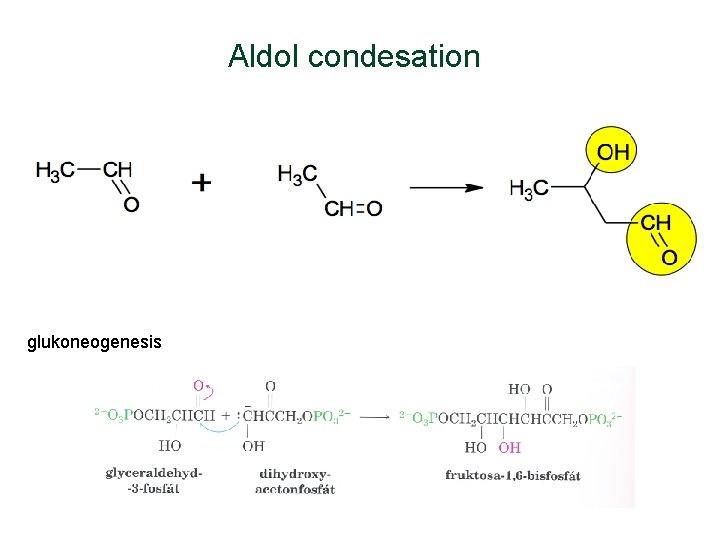 Aldol condesation glukoneogenesis Aldol condesation glukoneogenesis