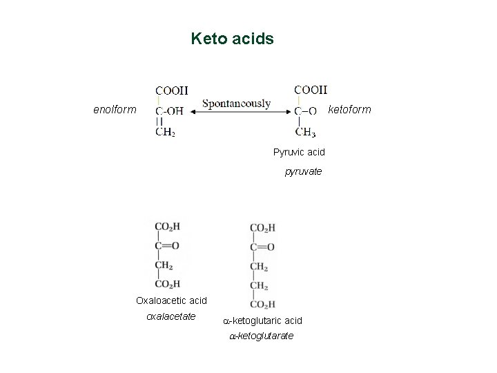 Keto acids enolform ketoform Pyruvic acid pyruvate Oxaloacetic acid oxalacetate a-ketoglutaric acid a-ketoglutarate Keto acids enolform ketoform Pyruvic acid pyruvate Oxaloacetic acid oxalacetate a-ketoglutaric acid a-ketoglutarate