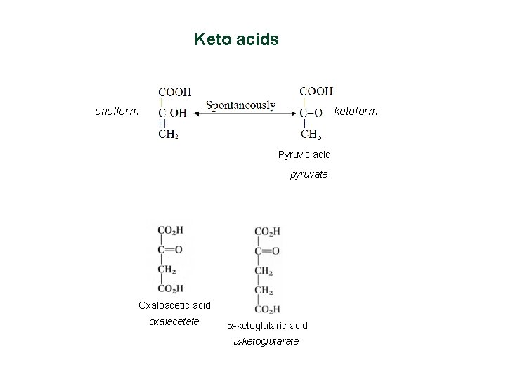 Keto acids enolform ketoform Pyruvic acid pyruvate Oxaloacetic acid oxalacetate a-ketoglutaric acid a-ketoglutarate 