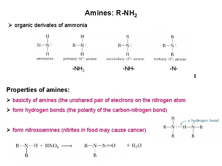 Amines: R-NH 2 Ø organic derivates of ammonia -NH 2 -NH- -N- Properties of