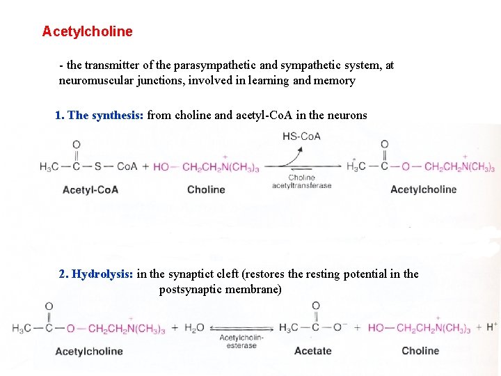 Acetylcholine - the transmitter of the parasympathetic and sympathetic system, at neuromuscular junctions, involved