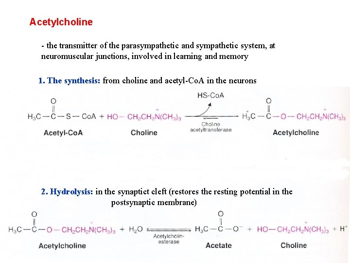 Acetylcholine - the transmitter of the parasympathetic and sympathetic system, at neuromuscular junctions, involved Acetylcholine - the transmitter of the parasympathetic and sympathetic system, at neuromuscular junctions, involved