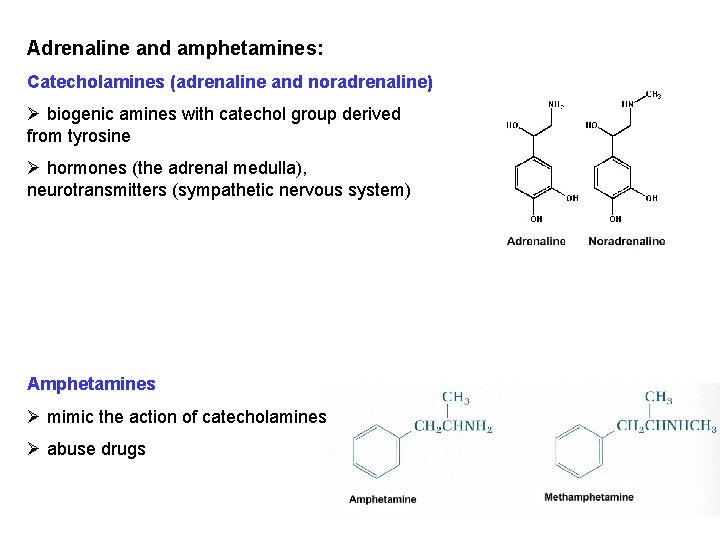Adrenaline and amphetamines: Catecholamines (adrenaline and noradrenaline) Ø biogenic amines with catechol group derived