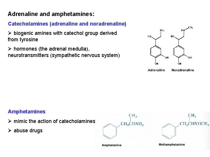 Adrenaline and amphetamines: Catecholamines (adrenaline and noradrenaline) Ø biogenic amines with catechol group derived Adrenaline and amphetamines: Catecholamines (adrenaline and noradrenaline) Ø biogenic amines with catechol group derived