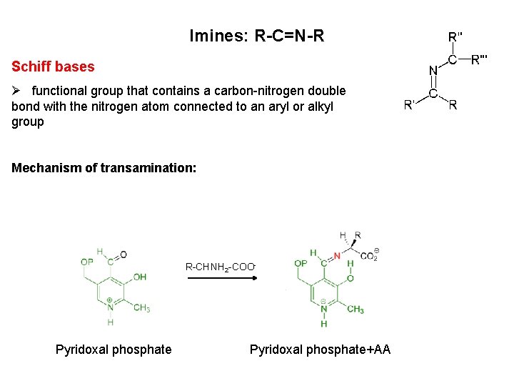Imines: R-C=N-R Schiff bases Ø functional group that contains a carbon-nitrogen double bond with Imines: R-C=N-R Schiff bases Ø functional group that contains a carbon-nitrogen double bond with