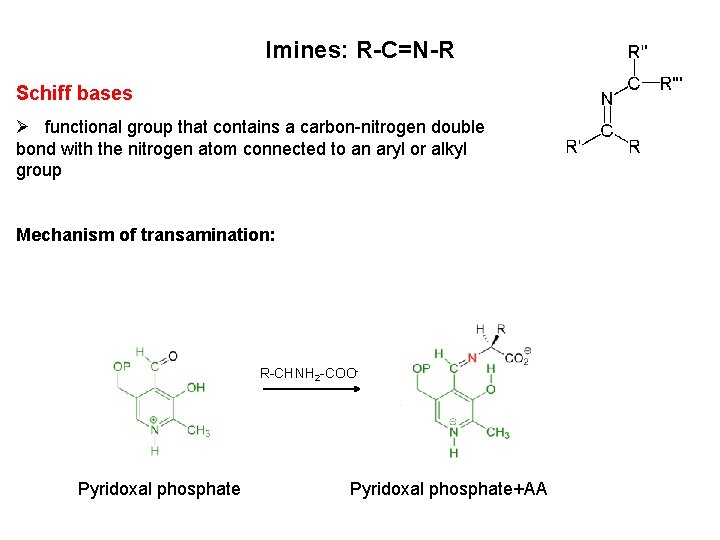 Imines: R-C=N-R Schiff bases Ø functional group that contains a carbon-nitrogen double bond with