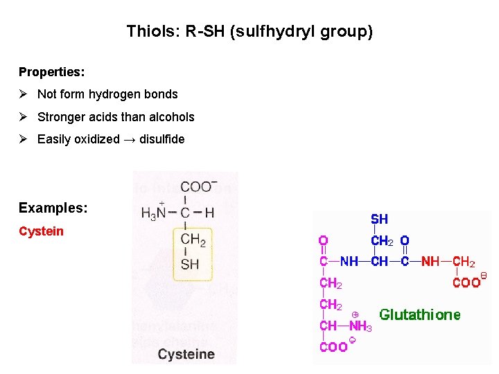 Thiols: R-SH (sulfhydryl group) Properties: Ø Not form hydrogen bonds Ø Stronger acids than Thiols: R-SH (sulfhydryl group) Properties: Ø Not form hydrogen bonds Ø Stronger acids than