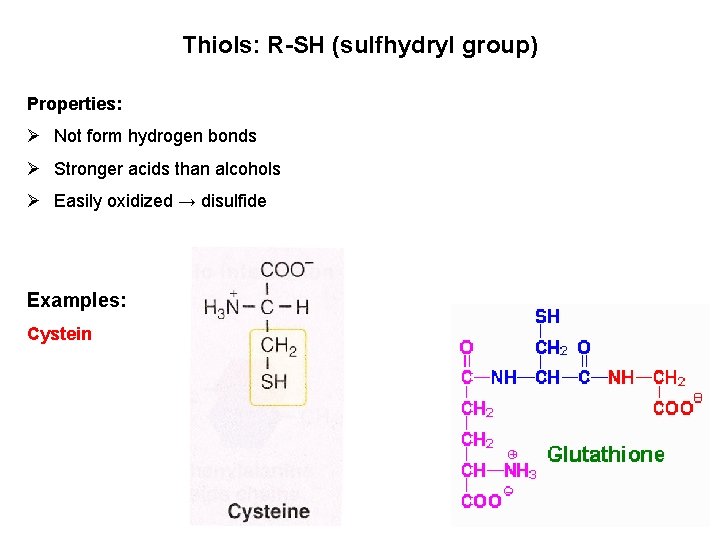 Thiols: R-SH (sulfhydryl group) Properties: Ø Not form hydrogen bonds Ø Stronger acids than