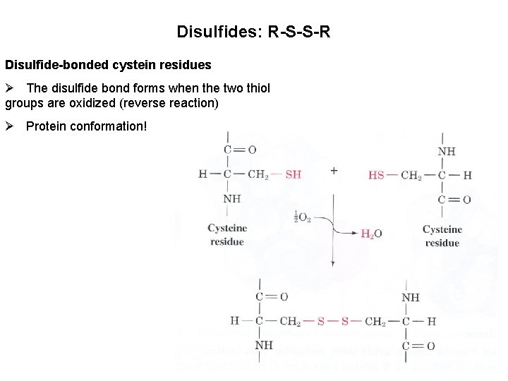 Disulfides: R-S-S-R Disulfide-bonded cystein residues Ø The disulfide bond forms when the two thiol Disulfides: R-S-S-R Disulfide-bonded cystein residues Ø The disulfide bond forms when the two thiol