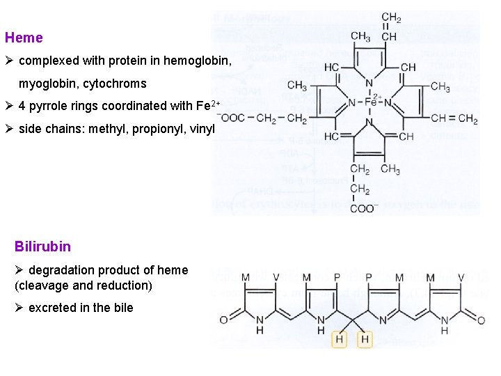 Heme Ø complexed with protein in hemoglobin, myoglobin, cytochroms Ø 4 pyrrole rings coordinated Heme Ø complexed with protein in hemoglobin, myoglobin, cytochroms Ø 4 pyrrole rings coordinated
