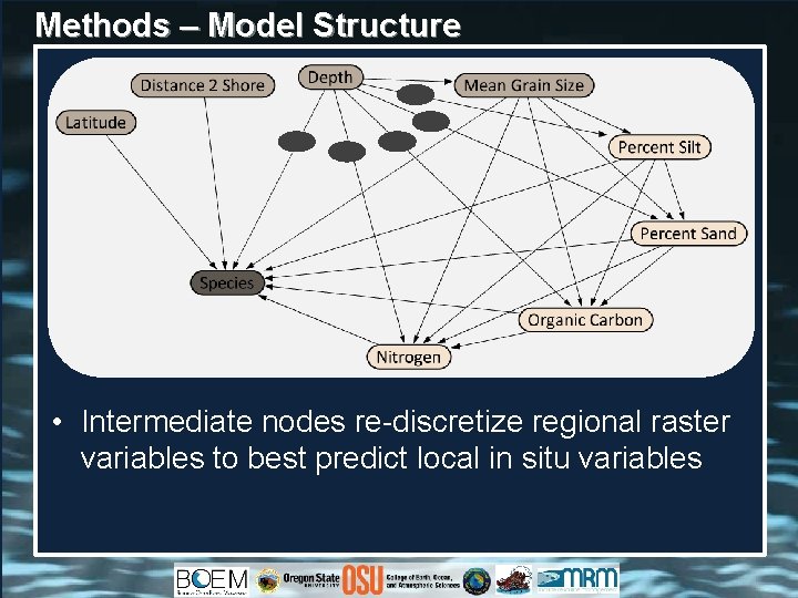 Methods – Model Structure • Intermediate nodes re-discretize regional raster variables to best predict