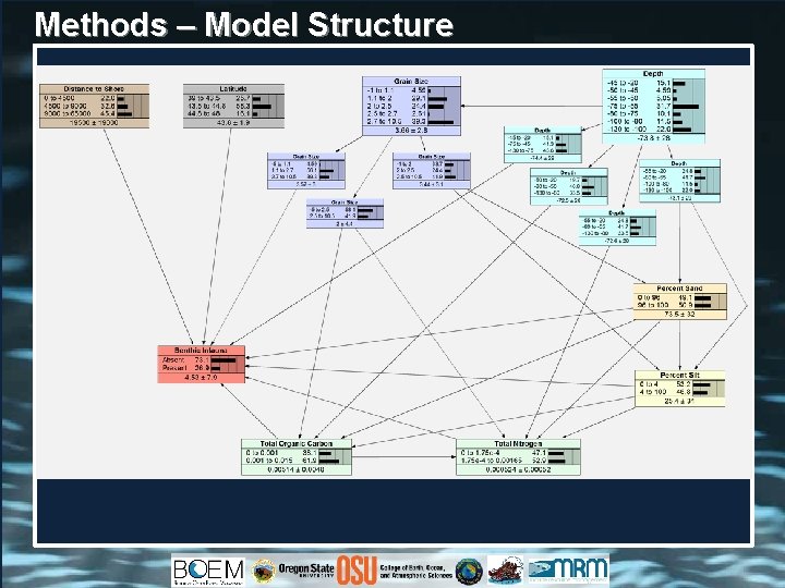 Methods – Model Structure 