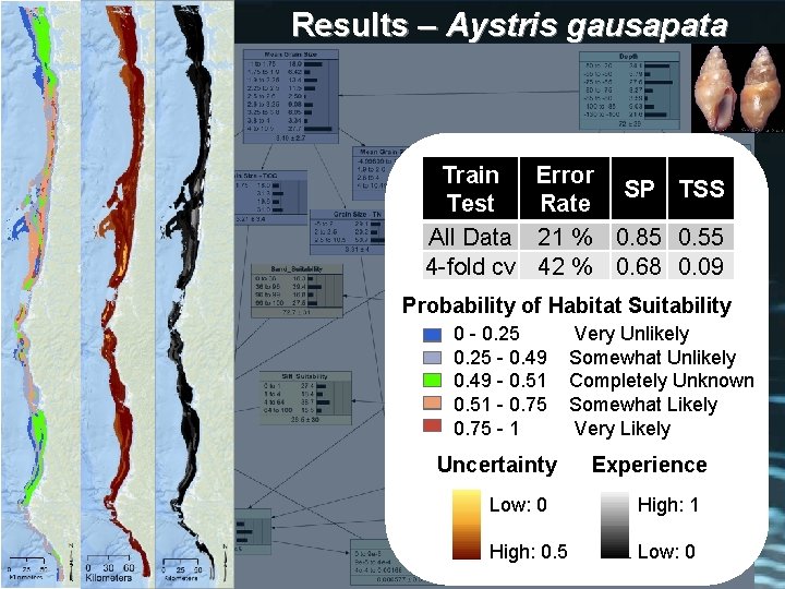 Results – Aystris gausapata Train Test All Data 4 -fold cv Error SP TSS