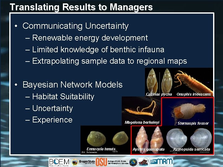 Translating Results to Managers • Communicating Uncertainty – Renewable energy development – Limited knowledge