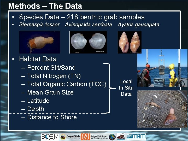 Methods – The Data • Species Data – 218 benthic grab samples • Sternaspis