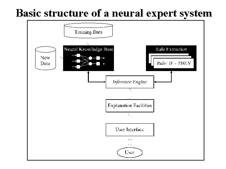 Basic structure of a neural expert system 