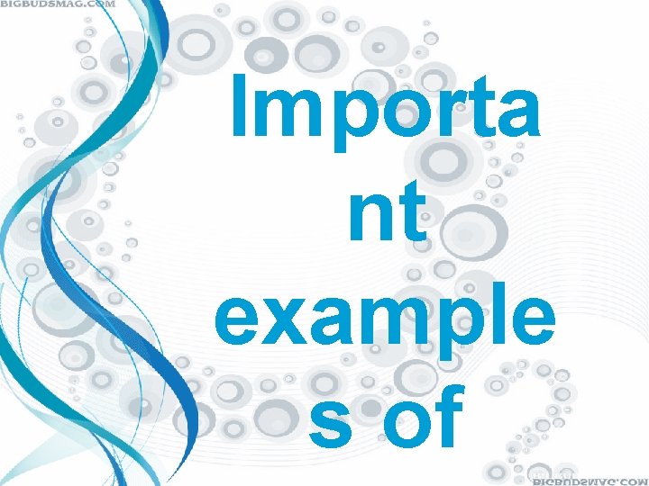 Importa nt example s of 