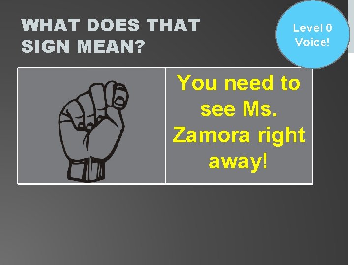 WHAT DOES THAT SIGN MEAN? Level 0 Voice! You need to see Ms. Zamora