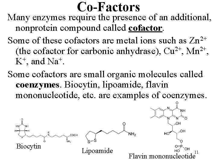 Co-Factors Many enzymes require the presence of an additional, nonprotein compound called cofactor. Some