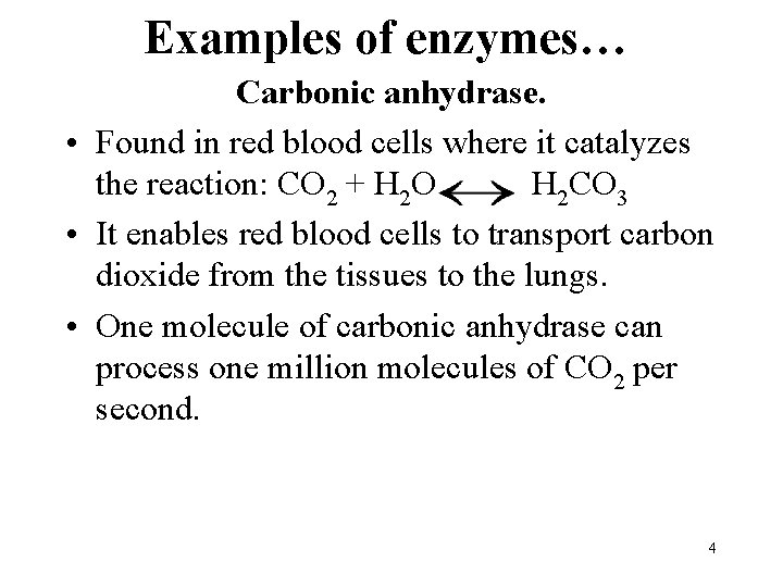 Examples of enzymes… Carbonic anhydrase. • Found in red blood cells where it catalyzes