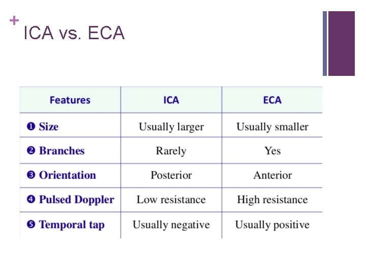 + ICA vs. ECA 