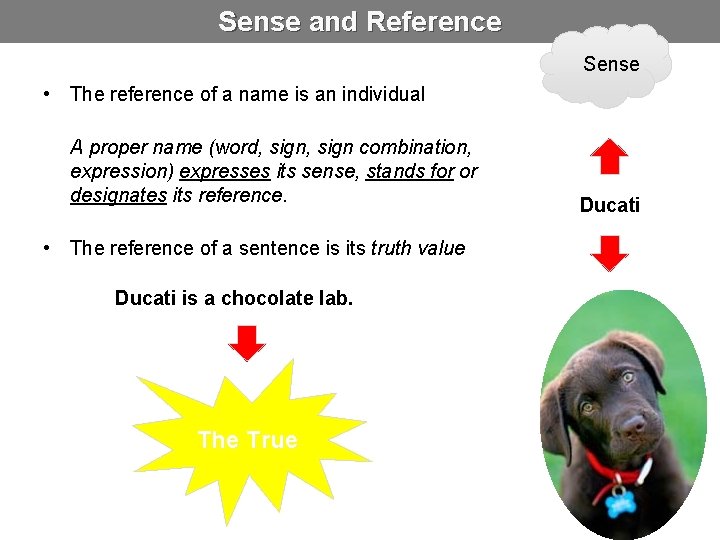 Sense and Reference Sense • The reference of a name is an individual A