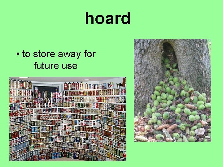 hoard • to store away for future use 