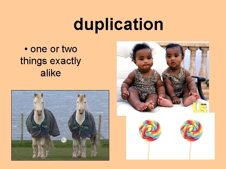 duplication • one or two things exactly alike 