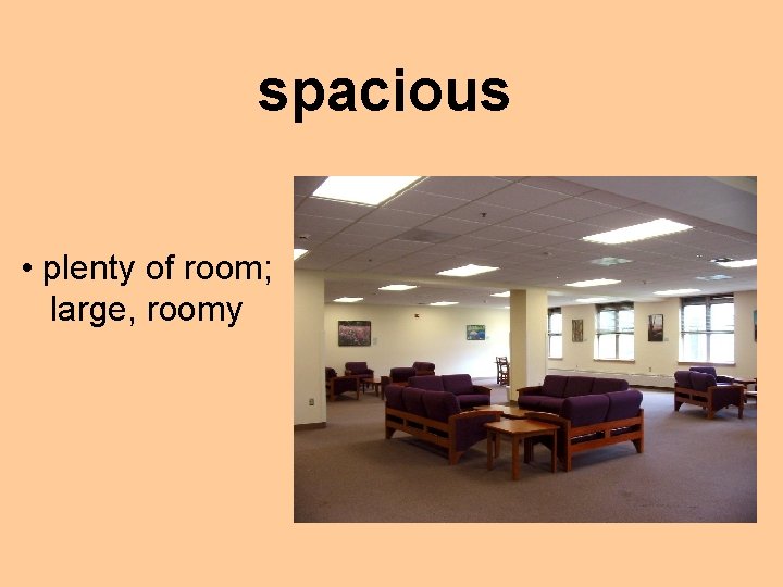 spacious • plenty of room; large, roomy 