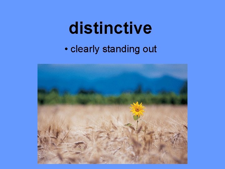 distinctive • clearly standing out 