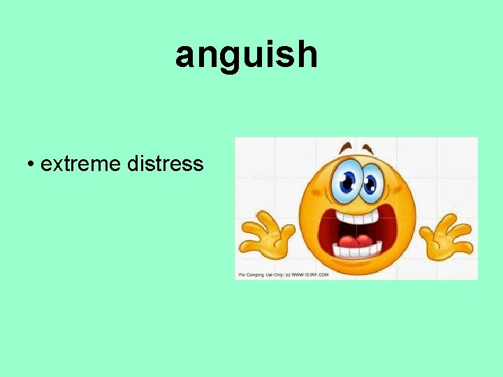 anguish • extreme distress 