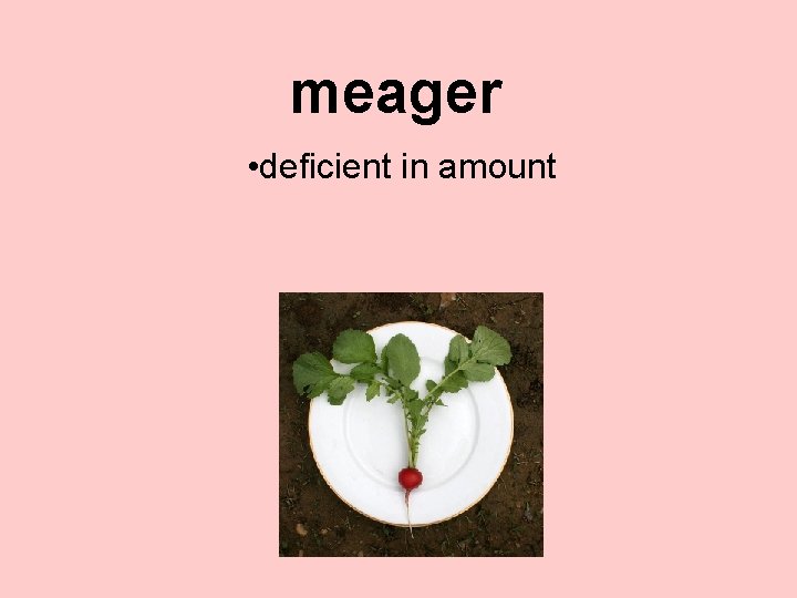 meager • deficient in amount 