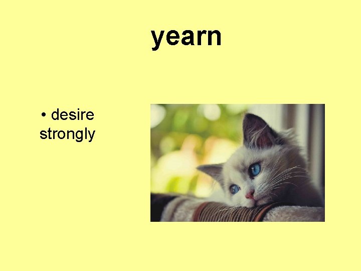 yearn • desire strongly 