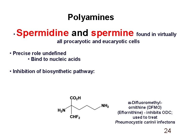 Polyamines • Spermidine and spermine found in virtually all procaryotic and eucaryotic cells •