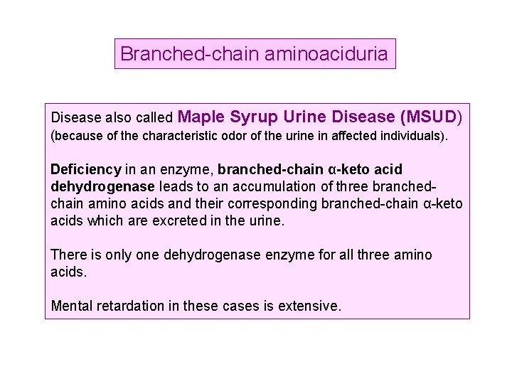 Branched-chain aminoaciduria Disease also called Maple Syrup Urine Disease (MSUD) (because of the characteristic