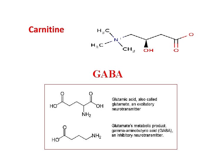 Carnitine GABA 